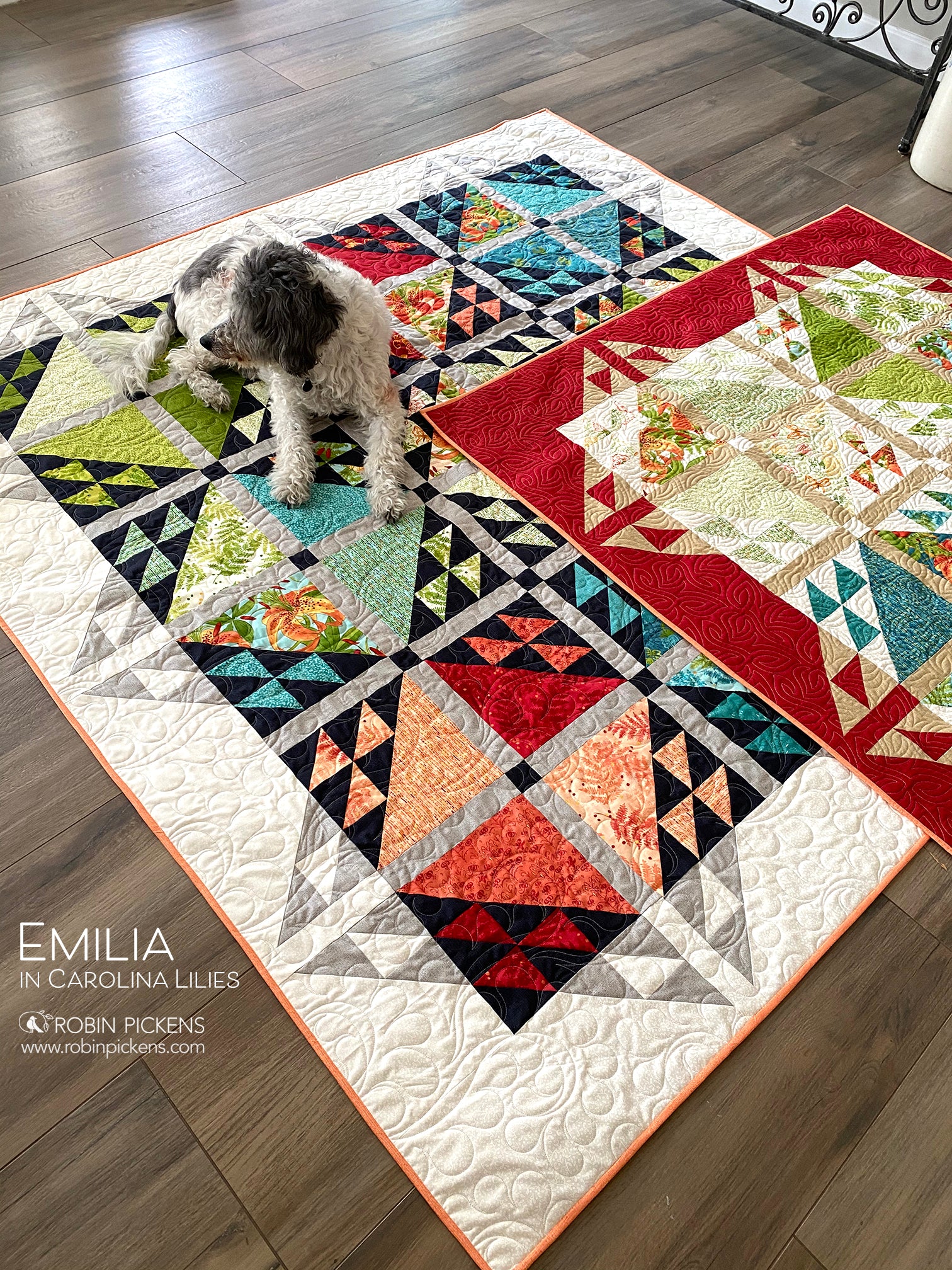 EMILIA Quilt Pattern (printed booklet) by Robin Pickens  76" or 55" square - Image 7